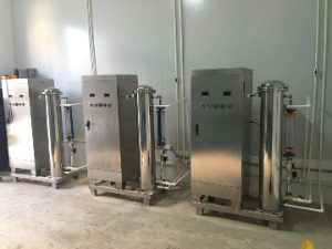 臭氧發(fā)生器在食品廠消毒殺菌的好處